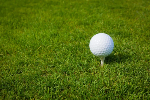 Bola de golfe em um T contra o campo de golfe com espaço de cópia — Fotografia de Stock