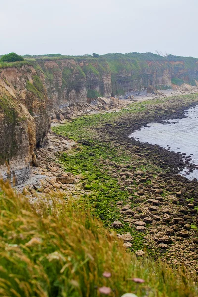 Omaha Beach es una de las cinco playas de Landing en Normandía. —  Fotos de Stock