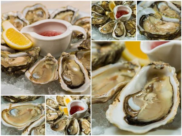 Collageof  platter of fresh organic raw oysters on ice — Stock Photo, Image