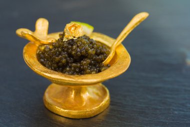 Black caviar clipart