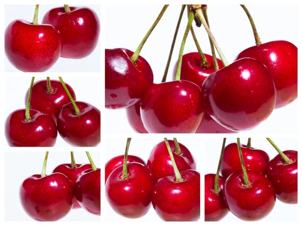 Cola de cerejas doces orgânicas isoladas em um fundo branco — Fotografia de Stock