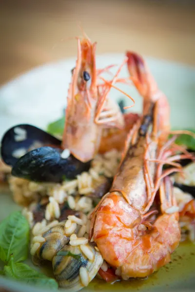 Risotto met mosselen, vis en garnalen — Stockfoto