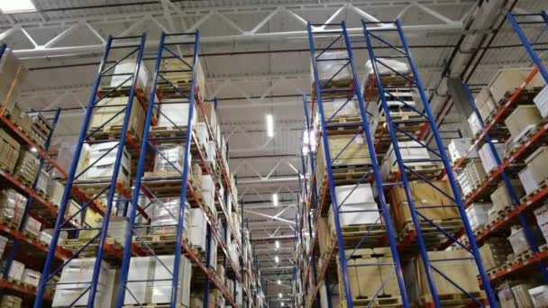 Huge distribution warehouse with high shelves and loaders. — Stockvideo