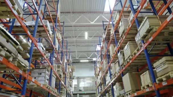 Huge distribution warehouse with high shelves and loaders. — Stok video