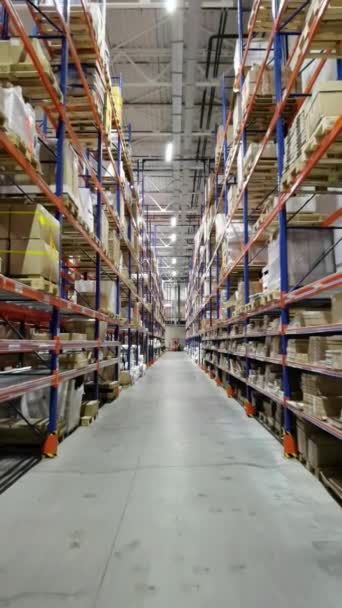 Huge distribution warehouse with high shelves and loaders. — Stok video
