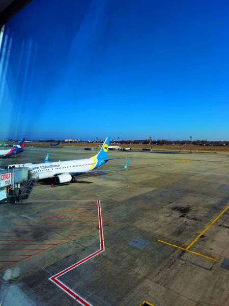 Boryspil, Ukraina - 31 stycznia 2022: Widok panoramiczny na lotnisko. Przegląd fartucha lotniska. Samoloty przy bramie lotniska. Kijów Boryspil Międzynarodowe lotnisko. — Zdjęcie stockowe