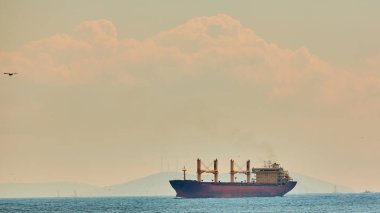 İstanbul, İstanbul, Türkiye 'deki Boğaz' da büyük bir kargo gemisi göründü