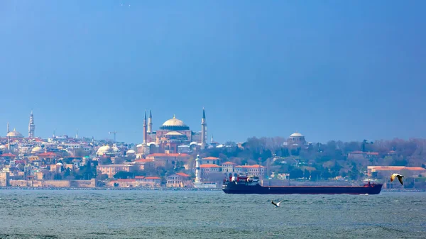 Cargo ship in Bosphorus. Focus on the seagull — стоковое фото