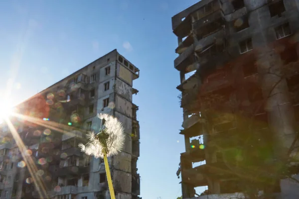 Бородянка Україна Травня 2022 Будинки Зруйновані Російськими Солдатами Місті Російська — стокове фото