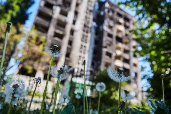 Borodianka Ucrania Mayo 2022 Casas Destruidas Por Soldados Rusos Ciudad — Foto de Stock
