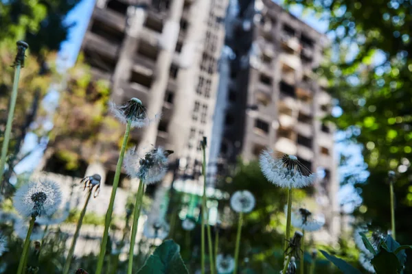 Borodianka Ucrania Mayo 2022 Casas Destruidas Por Soldados Rusos Ciudad — Foto de Stock