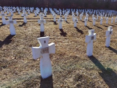 Lviv region, Ukraine, March 21, 2022: Military cemetery of ukrainian soldiers of 1st Galician Division who died in the World War II in battle of Brody. clipart