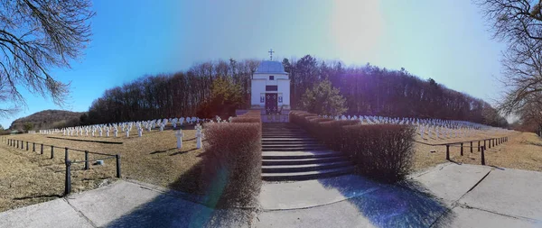 Obwód Lwowski Ukraina Marca 2022 Cmentarz Wojskowy Ukraińskich Żołnierzy Dywizji — Zdjęcie stockowe
