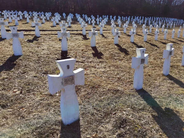 Regione Leopoli Ucraina Marzo 2022 Cimitero Militare Dei Soldati Ucraini — Foto Stock