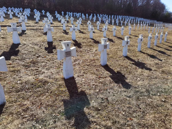 Región Lviv Ucrania Marzo 2022 Cementerio Militar Soldados Ucranianos División —  Fotos de Stock