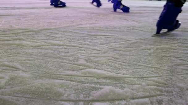 Παγοδρομία Χειμώνα Κόσμος Κάνει Πατινάζ Πατινάζ Στον Πάγο Παγοδρομία Είναι — Αρχείο Βίντεο