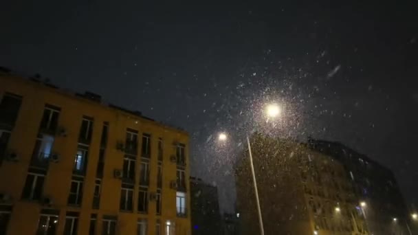 Falling Snow Backlit Modern Street Lamp City Street Night Winter — Stock Video