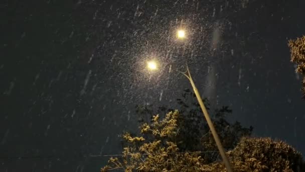 Vallende Sneeuw Verlicht Met Moderne Straatlantaarn Stad Straat Nachts Winter — Stockvideo