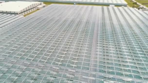 Aerial Top View Greenhouse Bird View Rotation Glass Roof Indoor — Stock Video