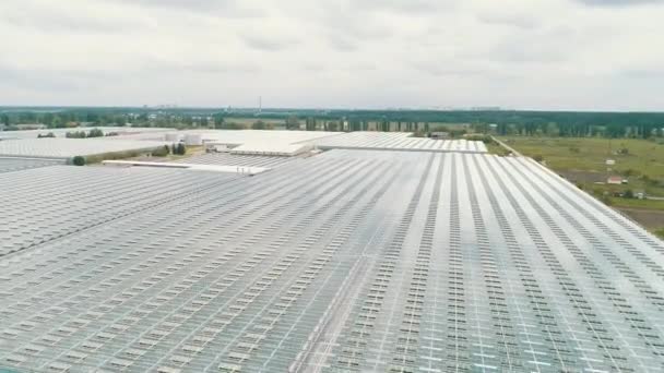 Aerial Top View Greenhouse Opening View Camera Moving Forward Massive — Stock Video