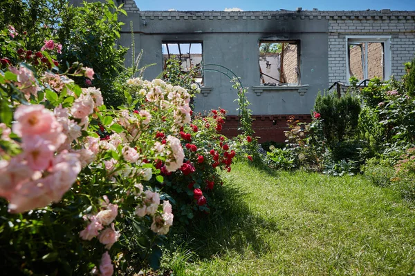 Черниговская Украина 2022 Вид Разрушенного Дома Улицу После Воздушного Налета — стоковое фото