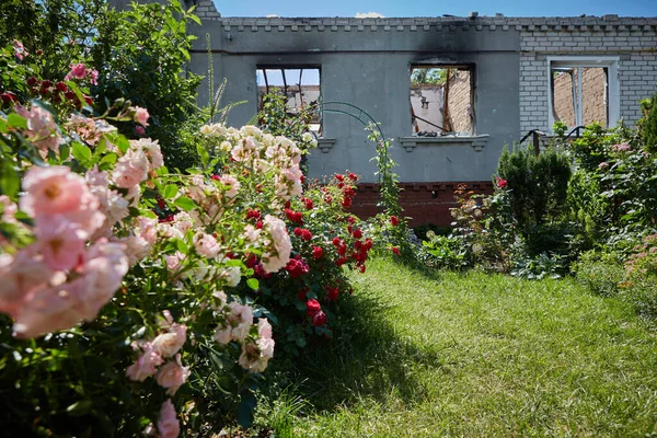 Chernihiv Ukrayna 2022: Hava saldırısından sonra caddedeki harabe evden görüntü. Rusya 'nın Ukrayna' ya karşı savaşı sırasında harabeler