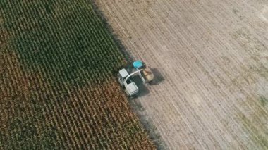 Aerial view Harvester on corn field. Industrial footage on agricultural theme. Combine harvester on the green field. Combine harvests corn for silage. Harvesting crop. Agriculture. Top view