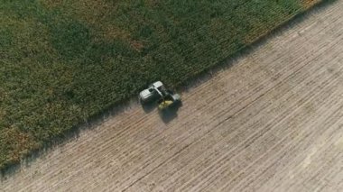 Aerial view Harvester on corn field. Industrial footage on agricultural theme. Combine harvester on the green field. Combine harvests corn for silage. Harvesting crop. Agriculture. Top view