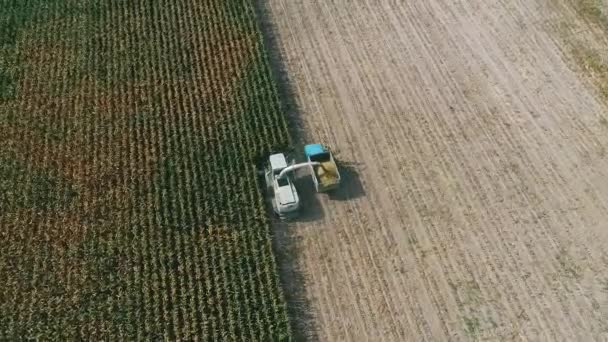 Aerial View Harvester Corn Field Industrial Footage Agricultural Theme Combine — Αρχείο Βίντεο