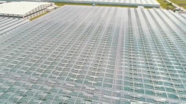 Glass Greenhouses Sunny Weather — Stock video
