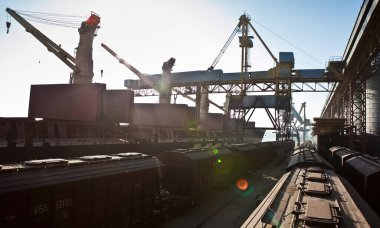 Loading grain into holds of sea cargo vessel in seaport from silos of grain storage. Bunkering of dry cargo ship with grain.