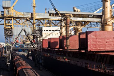 Loading grain into holds of sea cargo vessel in seaport from silos of grain storage. Bunkering of dry cargo ship with grain.