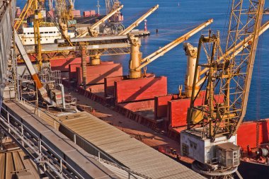 Loading grain into holds of sea cargo vessel in seaport from silos of grain storage. Bunkering of dry cargo ship with grain.