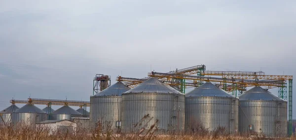 Grain Elevator Silos Ukraine — Stockfoto