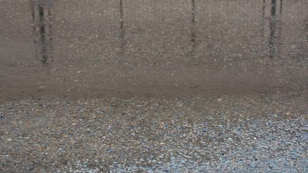 Regendruppels die vallen op asfalt — Stockvideo