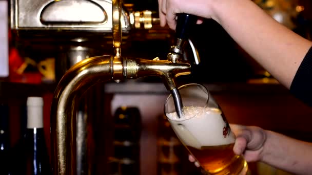 Birra nel pub — Video Stock