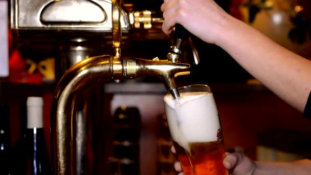 Bier in de pub — Stockvideo