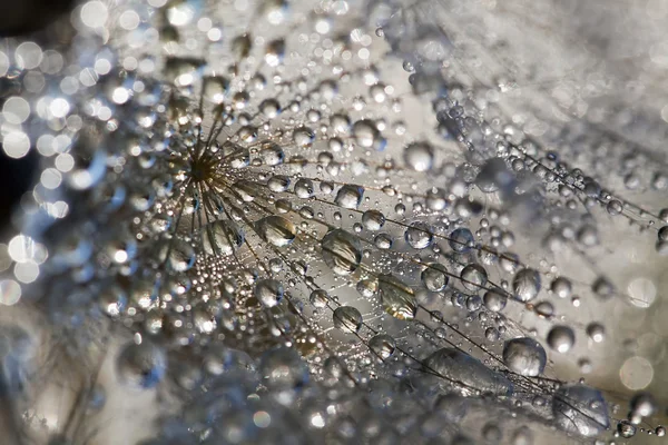 Gotas de água — Fotografia de Stock