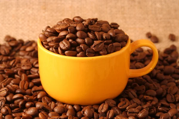 Kaffe — Stockfoto