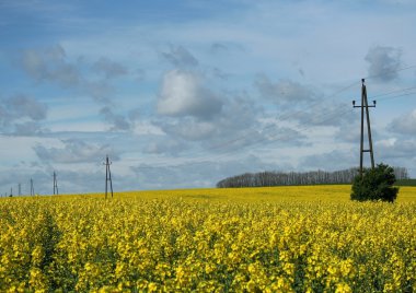 bir alan üzerinde elektrik hatları