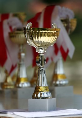 Uçan Agarik