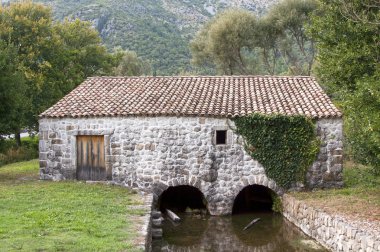 Akdeniz su değirmeni