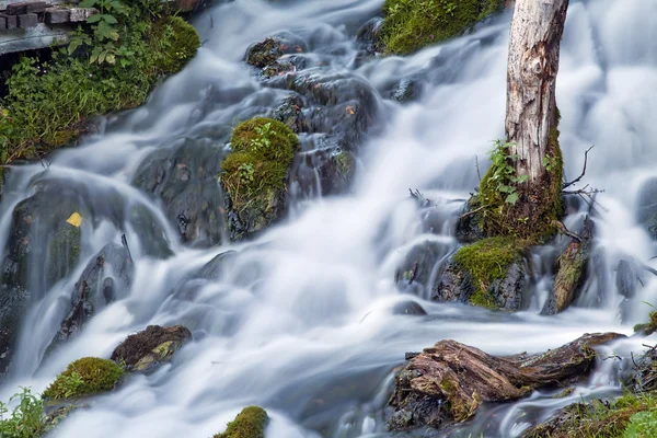 Beautiful mysterious stream — Stock Photo, Image