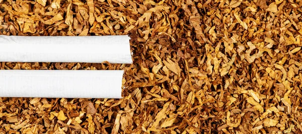 Zigarettenrollen Auf Tabak Raucherbanner Großaufnahme — Stockfoto