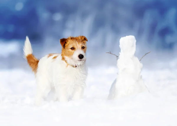 Милый Счастливый Спокойный Щенок Собака Собака Смотрит Снег Снеговиком Зимой — стоковое фото