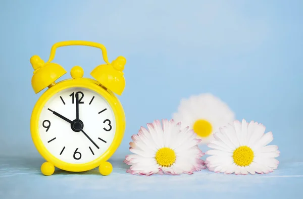 Daisy Flowers Yellow Alarm Clock Spring Summer Background — Stock Fotó