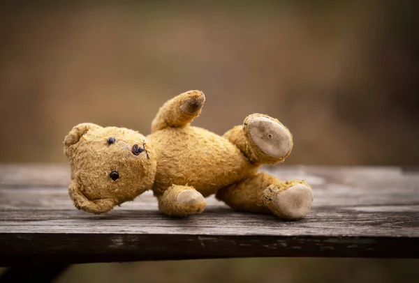 Old Toy Lying Bench Child Adoption Abortion Help Hope Concept — Fotografia de Stock