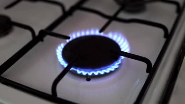 Gas Stove Blue Flame Energy Crisis Price Increase Energy — Vídeo de Stock