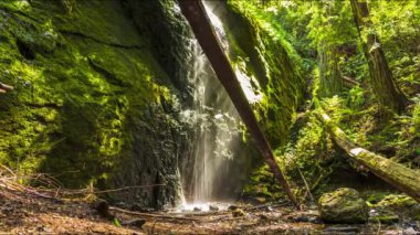 Chamberlin Creek Şelalesi, Jackson Gösteri Ormanı, CA, Zaman Alanı