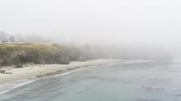 Mglisty Mendocino Miasto Ocean Plaża Kelp Łóżko Timelaspe — Wideo stockowe